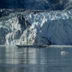 93 John Hopkins Inlet Glacier with sail boat