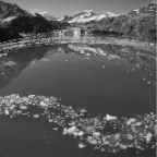 104 John Hopkins Inlet lens baby B&W