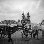 Girl and carriage B&W