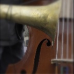 Horn and Cello (1)