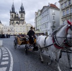 Old Town Horse and buggy