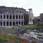 Rome Flowers Coloseum Lool alike 2