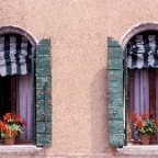 Green Windows Red Flowers_2