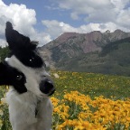 Oscar Brown in Crestted Butte - sm