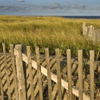 Dunes with fence and house - sm