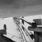 Fence B&W