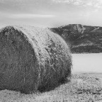 Bail of hay B&W