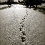 Footprints