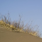 Dunes and Moon